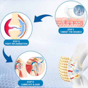 ROSOPL® Hyaluronic Joint Relief Microneedle Patch