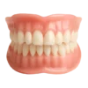 ROSOPL™ Custom Functional Denture Kits